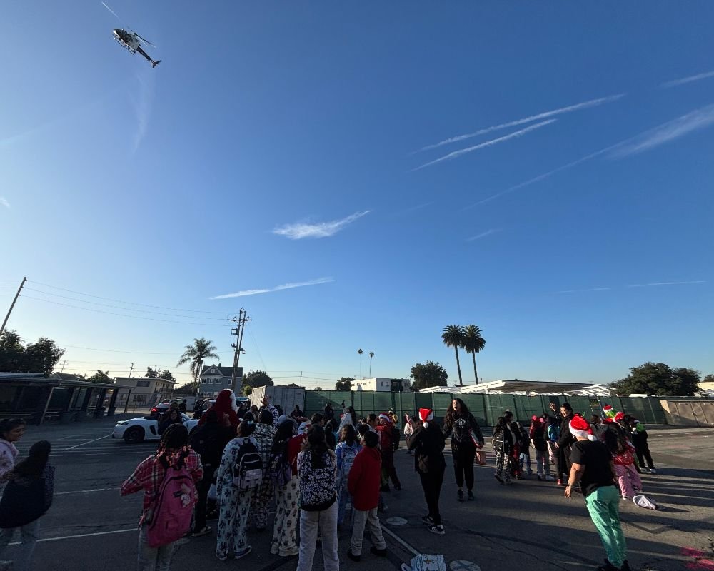 c48e0358-98dc-4d9f-be78-8f89204ce853